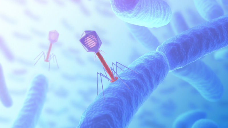 Illustration for article titled Can We Avoid an Antibiotic Apocalypse?